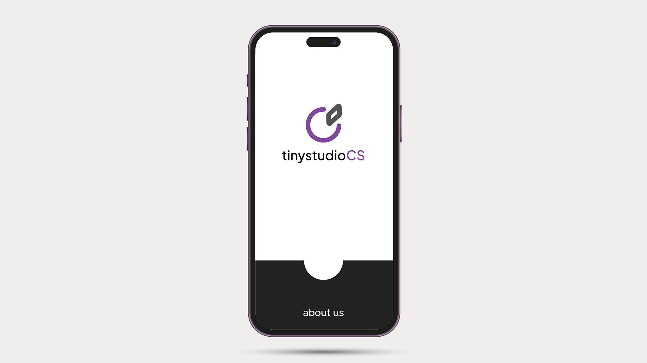 Mobile Mockup of TinyStudios Page